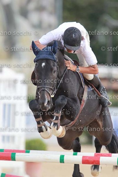 SAIBENE_CRISTHALCOLOR_GIO CAV 2011_SS3_9472.jpg